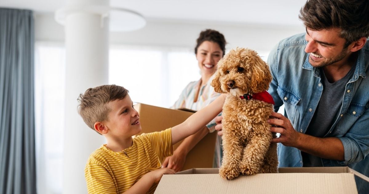 family and dog on moving day