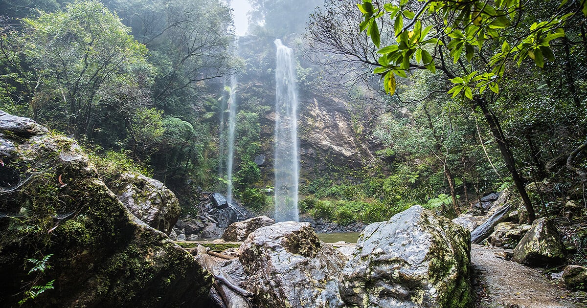 Waterfall in Hinterland inland from the Gold Coast