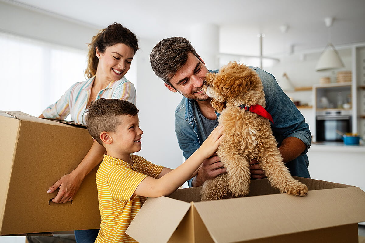 Family playing with fluffy dog in moving box