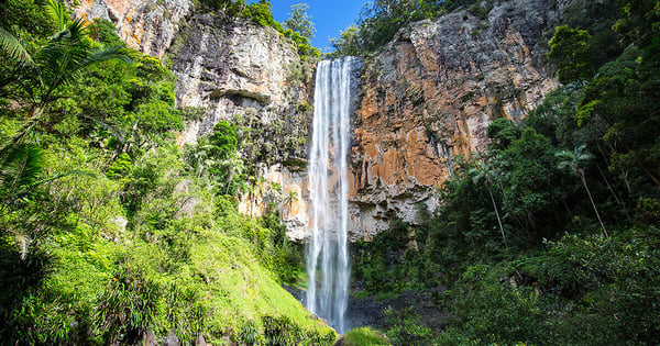 Purling Brook Falls in de buurt van Gold Coast