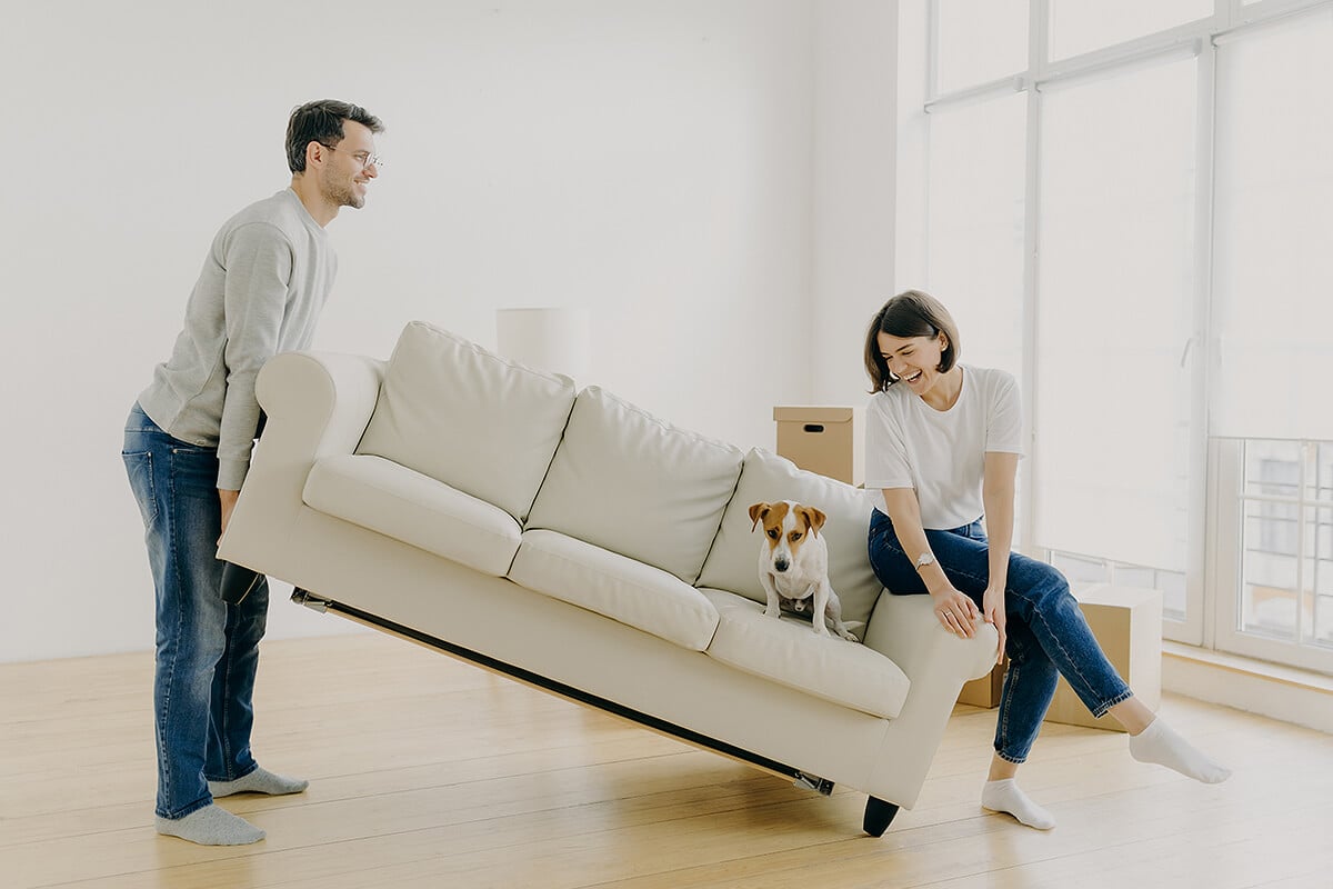 Young couple moving couch, laughing with dog sitting on seat