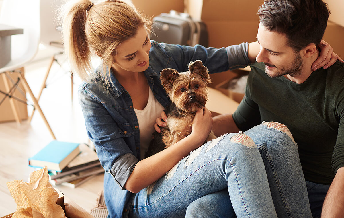 Young couple cuddle dog amongst moving boxes ready to move interstate