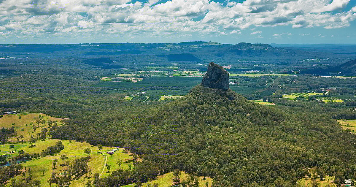 Aerial view of the green Queensland tropical bush in Sunshine Coast