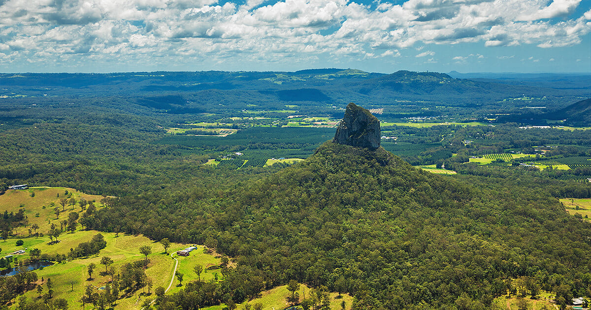 Aerial view of the green Queensland tropical bush in Sunshine Coast