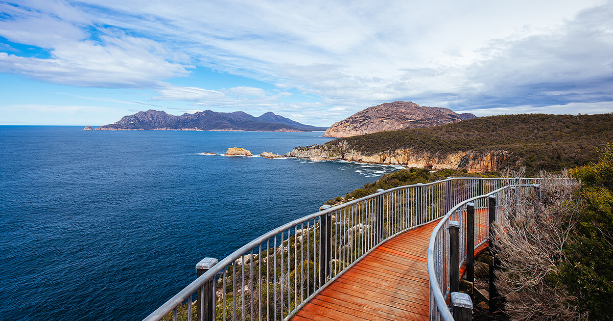 Walking track in Tasmania with view of ocean