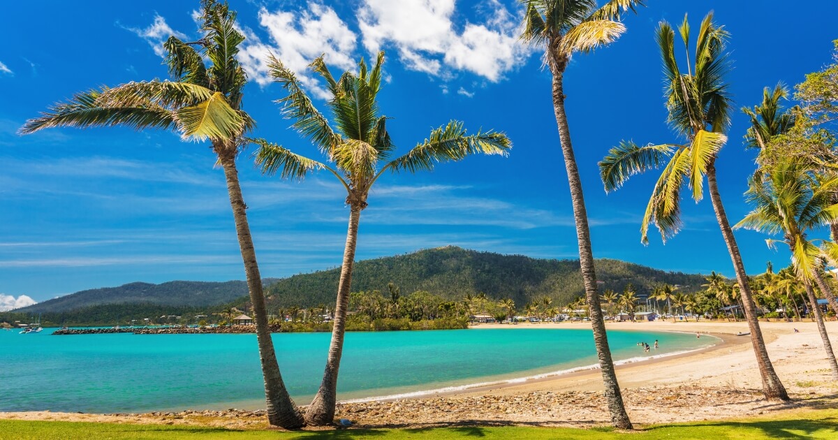 Interstate move to Queensland with beach and palm tress