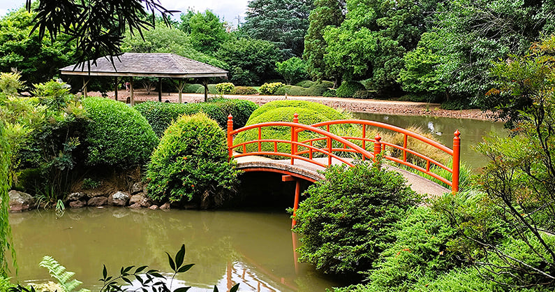 Toowoomba Japanese Garden red bridge