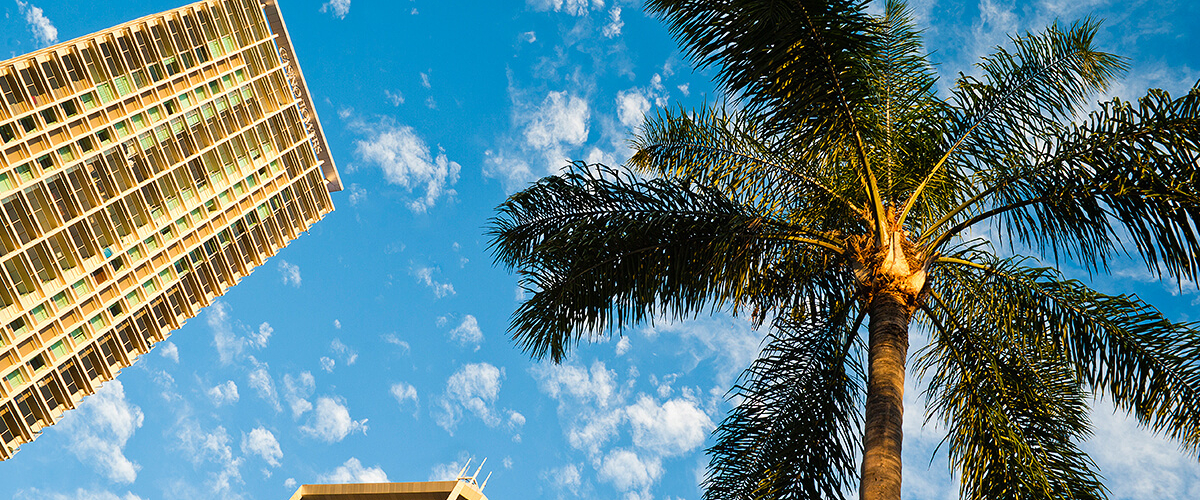 Should I move to Brisbane? Here’s what to consider banner image