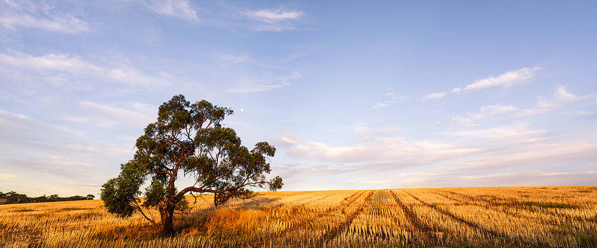 Moving to Shepparton: What you need to know before moving here banner image