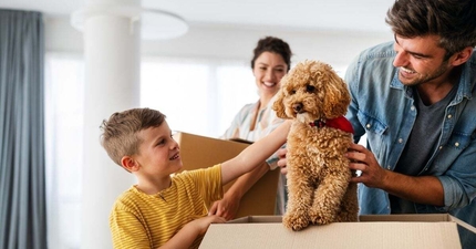 Thumbnail: Interstate pet transport tips to keep your furry friend happy