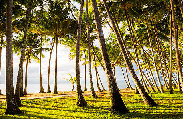 Moving Brisbane to Cairns: Your FNQ relocation guide banner image