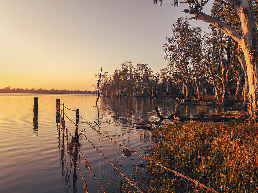 Chinchilla lake