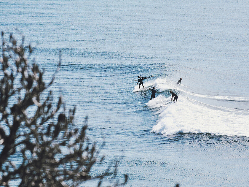 Sunshine Coast surf