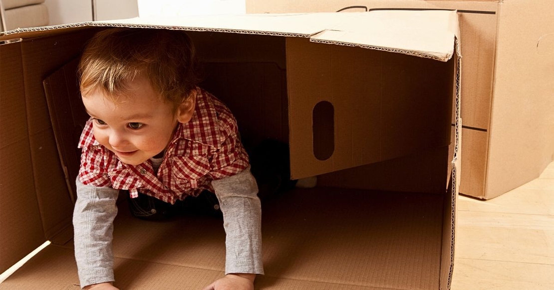 Cute boy crawling out of box