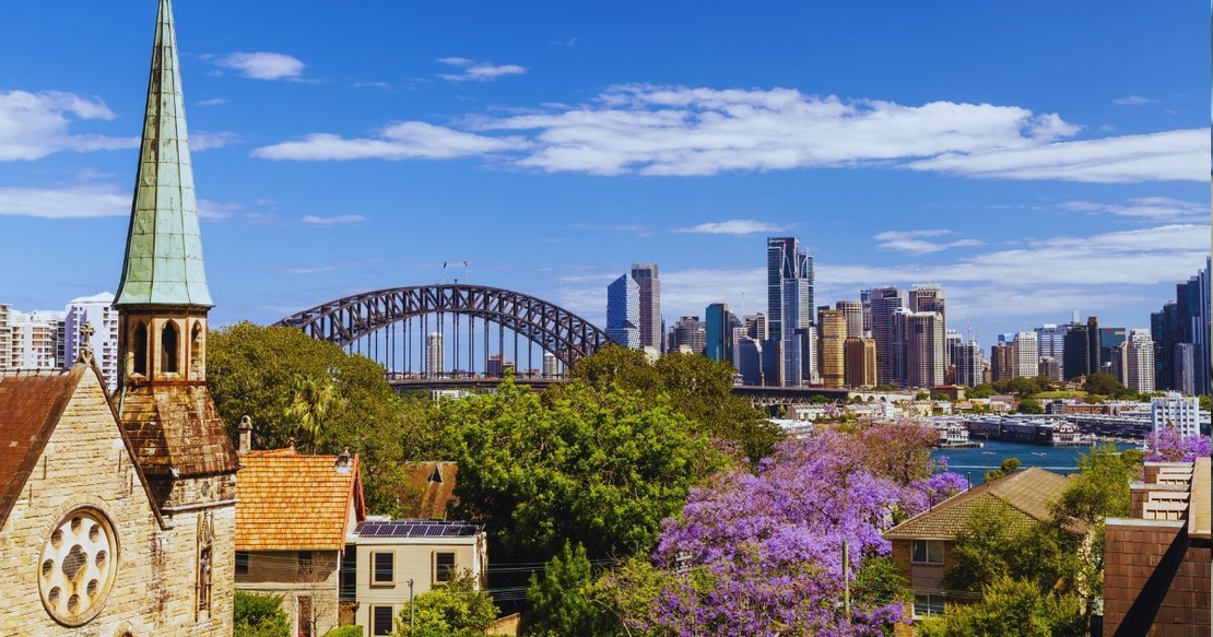 Sydney Bridge and Purple Tree
