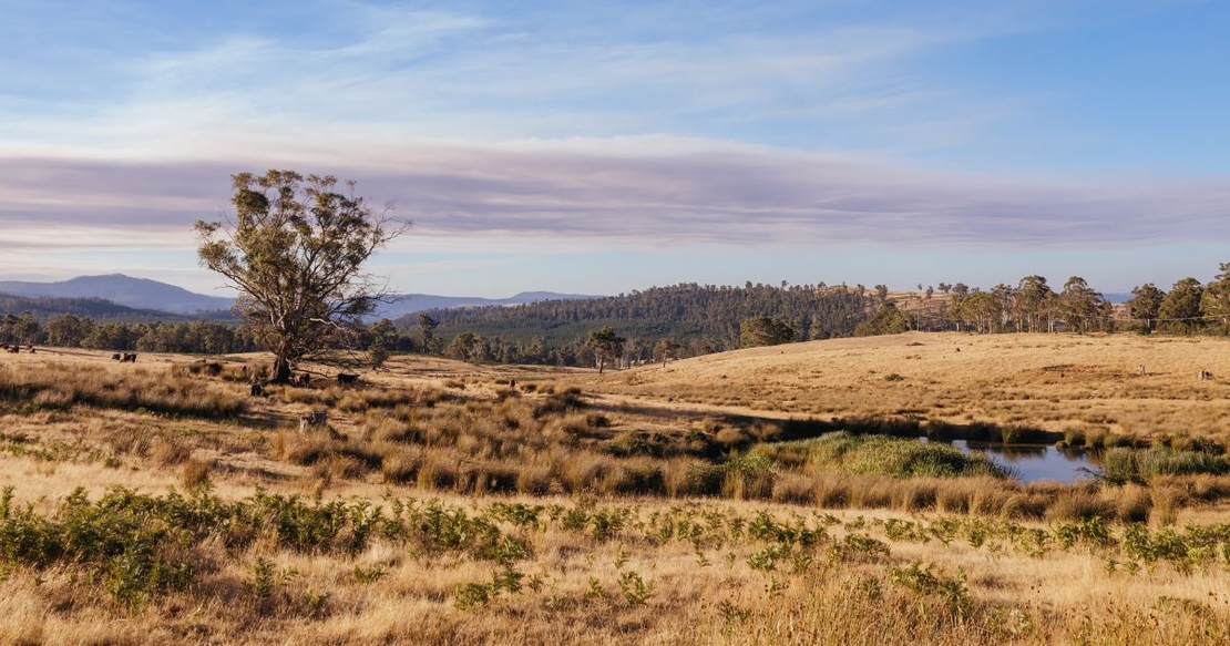View of Tamania landscape